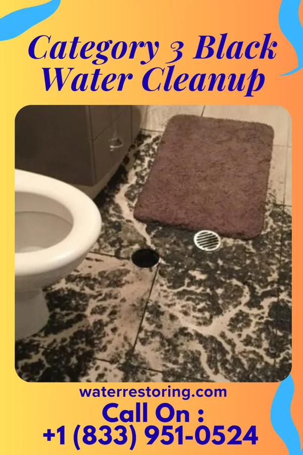 Category 3 Black Water Cleanup in Howe, OK